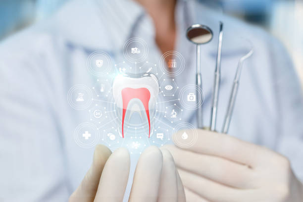 Best Dental Fillings (Composite and Amalgam)  in Ave Maria, FL