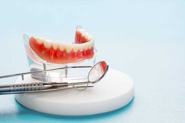 Best Cosmetic Dentistry  in Ave Maria, FL